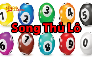 Một vài nét khái quát về song thủ lô